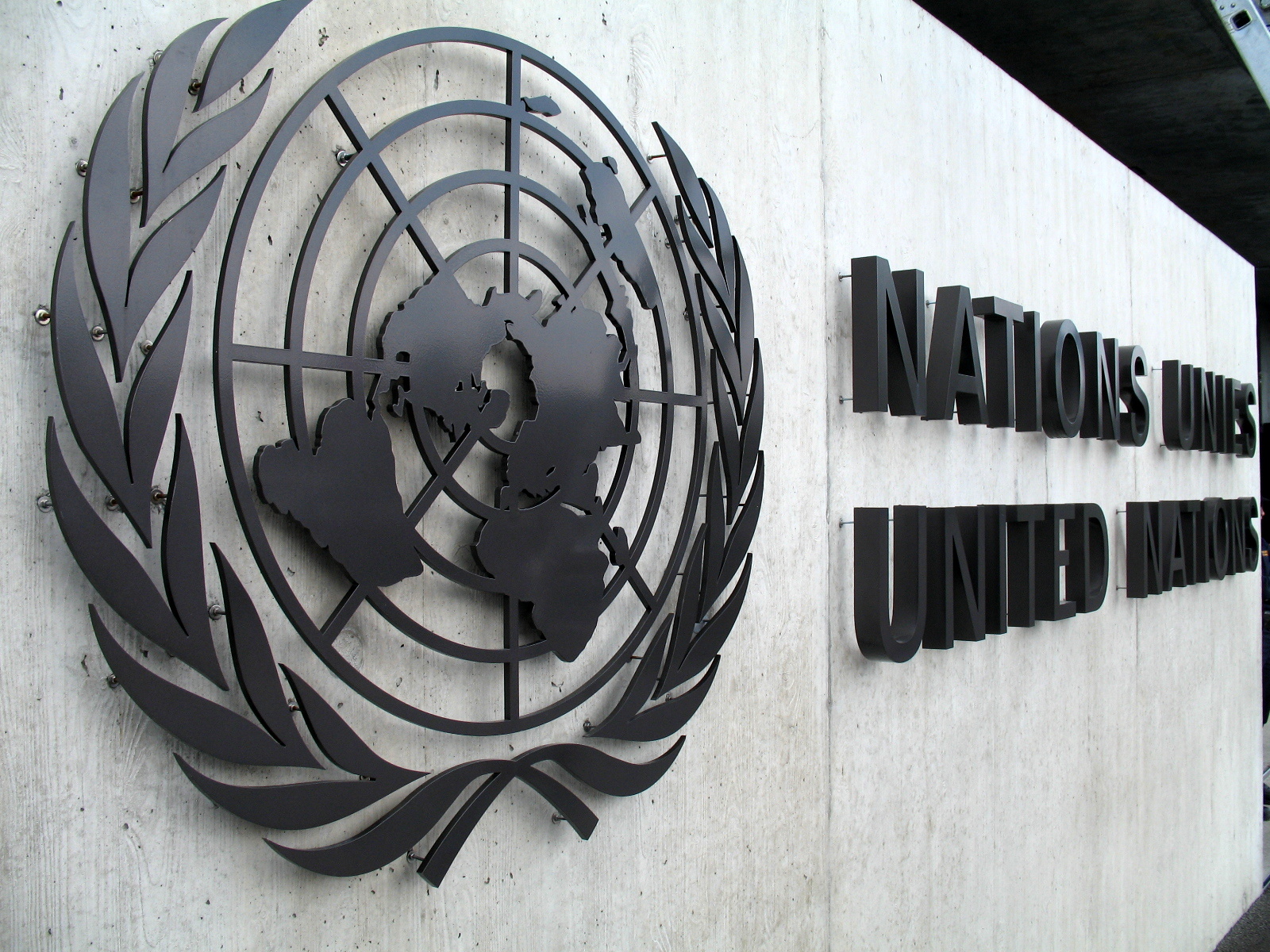 L’ONU est-elle une organisation démocratique? par Chloé Maurel