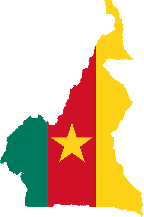 Cameroun : guerre civile, répression généralisée et mobilisations de la jeunesse