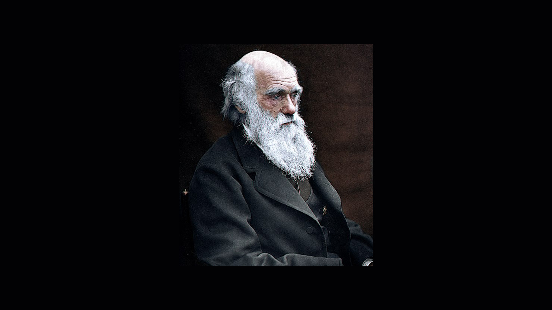 L’héritage des travaux de Darwin